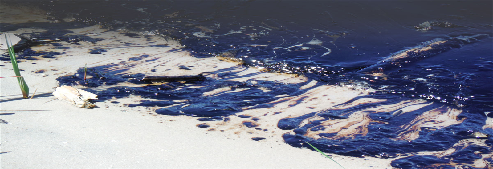 99草草国产熟女视频在线