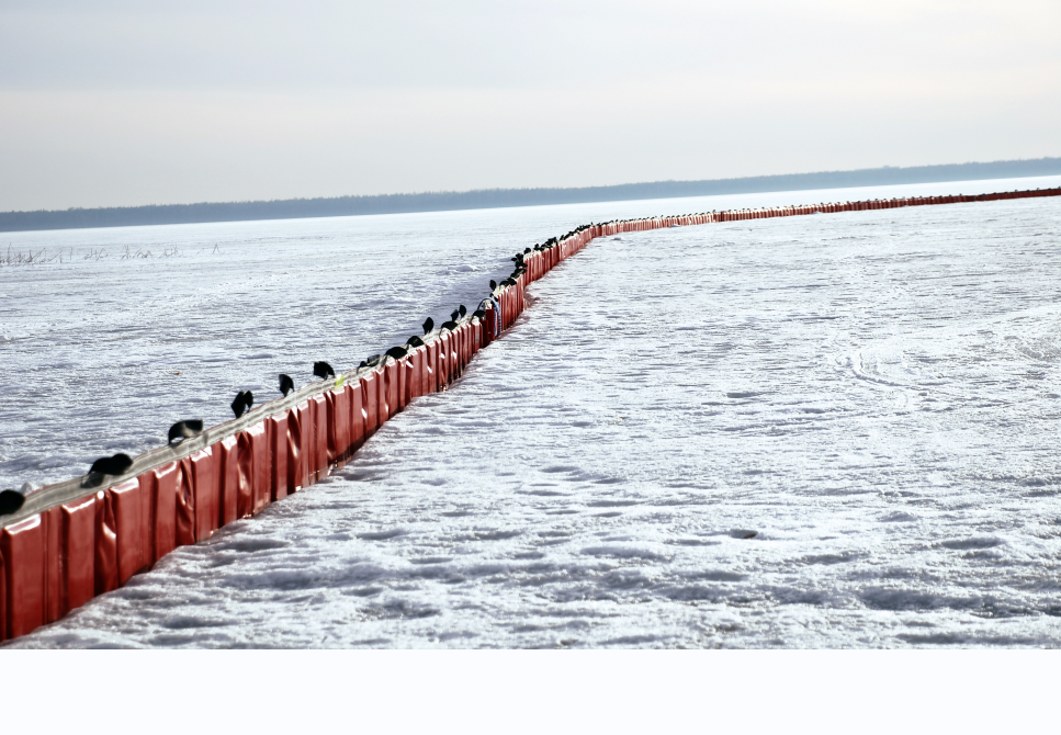 99草草国产熟女视频在线