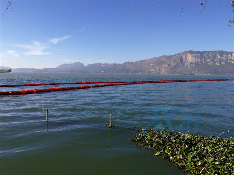 99草草国产熟女视频在线