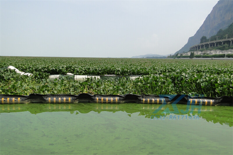 99草草国产熟女视频在线